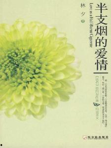 半支情,探寻爱情与命运的交织