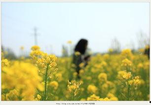 四月暖春,万物复苏，春意盎然”